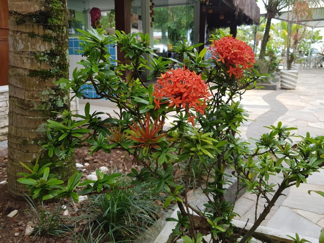 Pousada Morada Das Ilhas 博西坎加 外观 照片