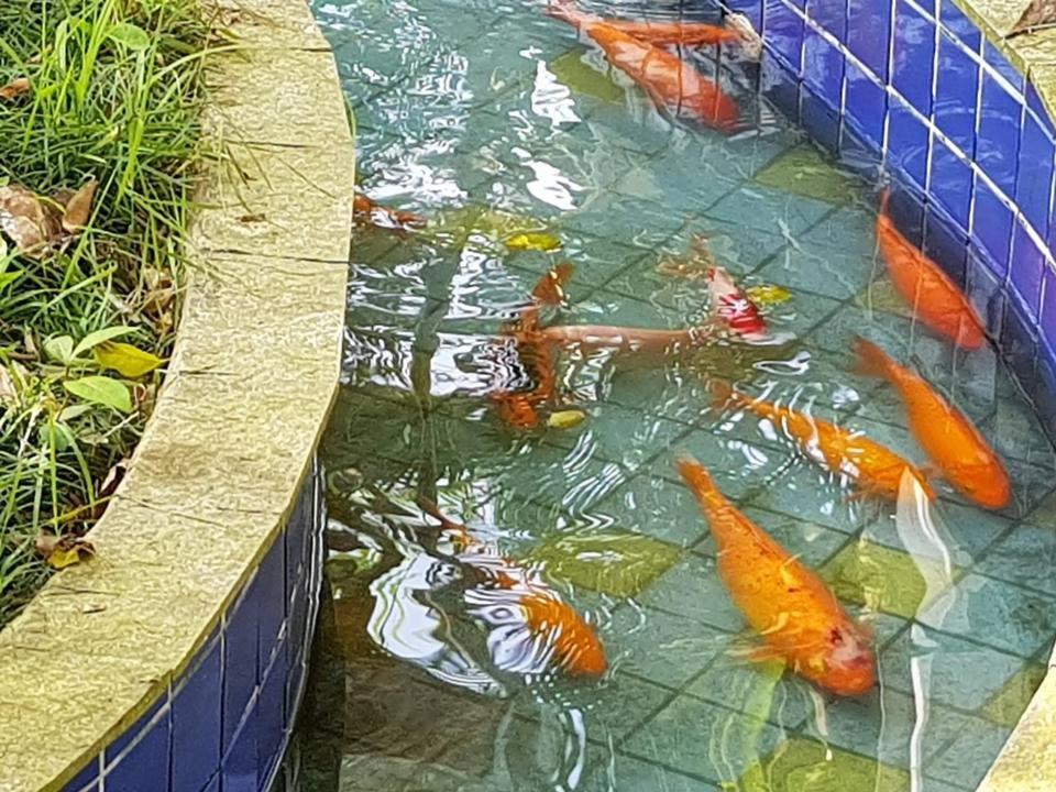 Pousada Morada Das Ilhas 博西坎加 外观 照片